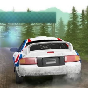 Rally-Champion